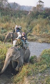 Riding through streams on an elephant
