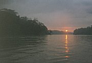 Sunrise on the Tambopata